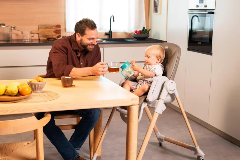 شيكو Chicco Polly Armonia Highchair 0m-3y, Scandinavian